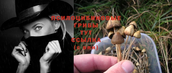 MDMA Premium VHQ Бугульма
